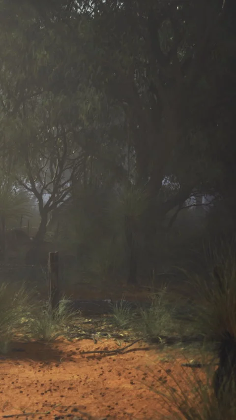 Fog covers trees and ground in a natural setting during the early morning hours Stock Footage 331670518