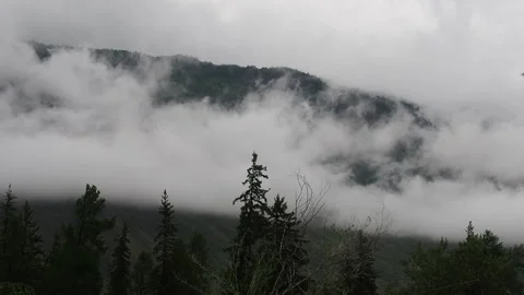Fog crawling on the mountainside over the treetops. Stock Footage 95036284