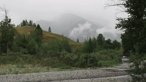 Fog crawling on the mountainside over the treetops. Video stock 95036306