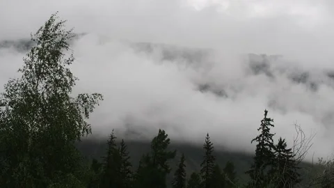 Fog crawling on the mountainside over the treetops. Stock Footage 95036584