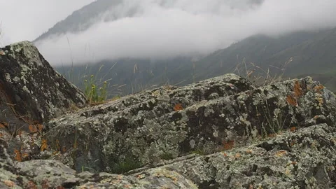Fog crawling on the mountainside over the treetops. Video stock 95036605
