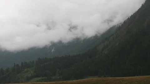 Fog crawling on the mountainside over the treetops. Видео 95036633