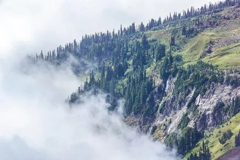 Fog crawls up a mountain side with groups of trees and meadows Stock Photos