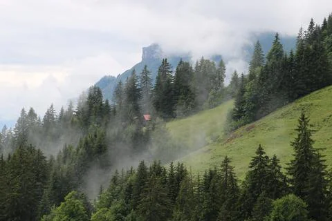 Fog creeping up a mountain side. Distant view of Mount Augstmatthorn. Stock Photos