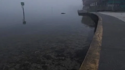 Fog creeping to shore Vídeos de archivo 45244716