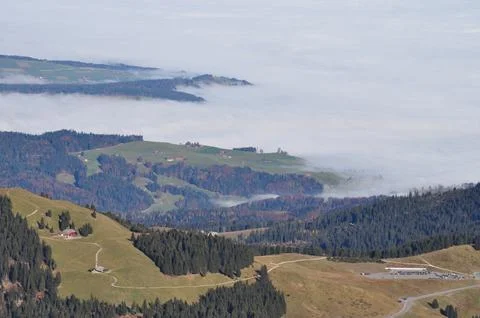 Fog creeping up from the valley through the forests Stock Photos