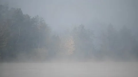 Fog on the danube river Stock Footage 164033624