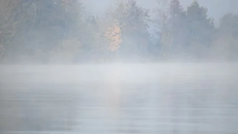 Fog on the danube river Stock Footage 164034620