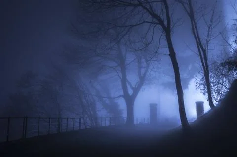 Fog in the darkness Stock Photos