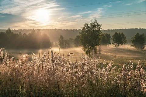 Fog in the dawn rays of the sun Foto stock