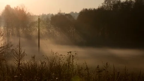Fog before dawn (time lapse) Stock Footage 98497557