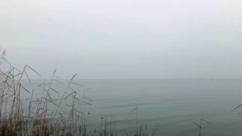 Fog descended on the lake Stock Footage 323948184