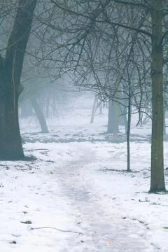 Fog on a dirt road Stock-Fotos