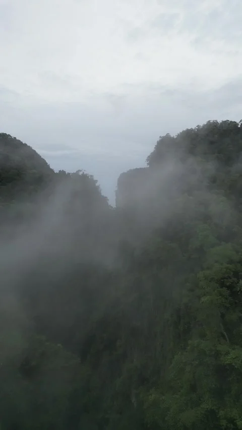 Fog Dissipating Over Tropical Rainforest Valley in Ao Nang, Krabi, Thailand Stock Footage 334778196
