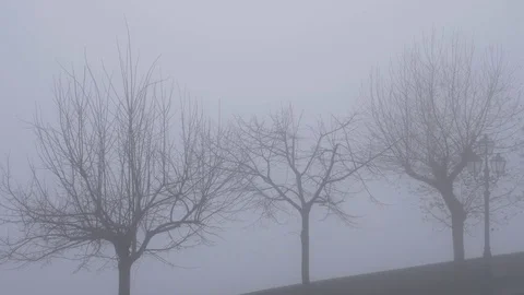 Fog dreamlike landscape - 4K Stock Footage 84737502