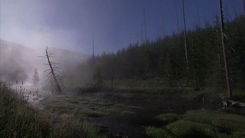 Fog Drifting Over Seattle Swamp Stock Footage 86755496