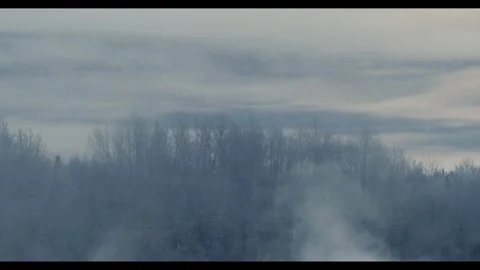 Fog Drifting Through Bare Trees Stock Footage 307073857