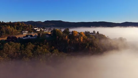 Fog drifting through forest valley in morning sunlight — Part78 Stock Footage 318950134