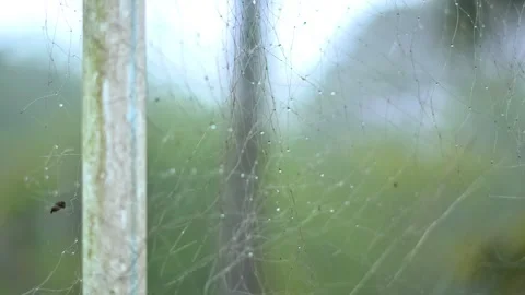 Fog Droplets on Net Creating Abstract Moisture Pattern. Stock Footage 327873062