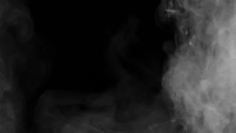 Fog dust smoke loop animation 스톡 동영상 145922284