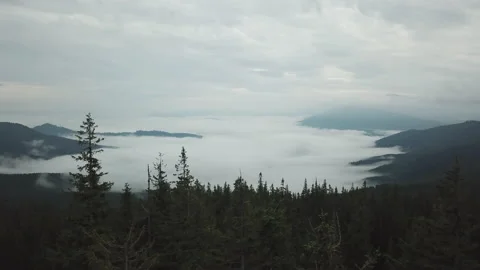 Fog enveloped the mountains evening mountains clouds under the mountains forest Vídeo Stock 149508850