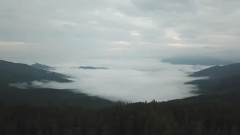 Fog enveloped the mountains evening mountains clouds under the mountains forest Stock Footage 149508931