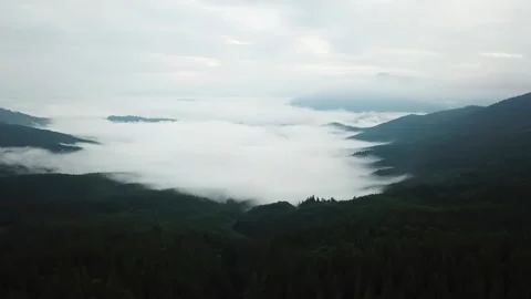 Fog enveloped the mountains evening mountains clouds under the mountains forest Stock Footage 149509740