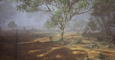 Fog envelops a serene landscape with eucalyptus trees in morning light Stock Illustration