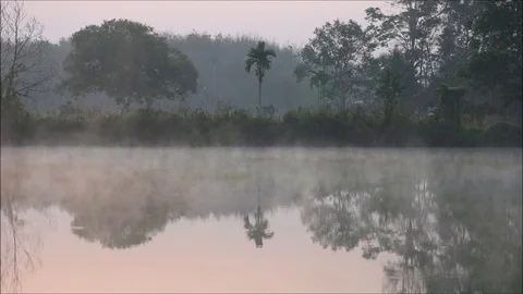 The fog evaporates above the water surface in the morning Stock Footage 118709254