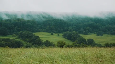 Fog in the field Stock Footage 76791527