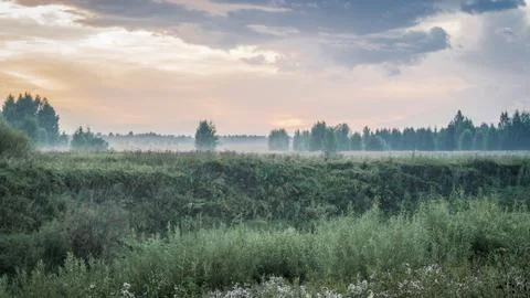 Fog in the field Stock Photos