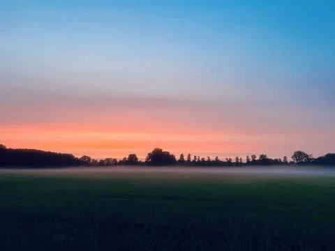 Fog at the field Foto stock