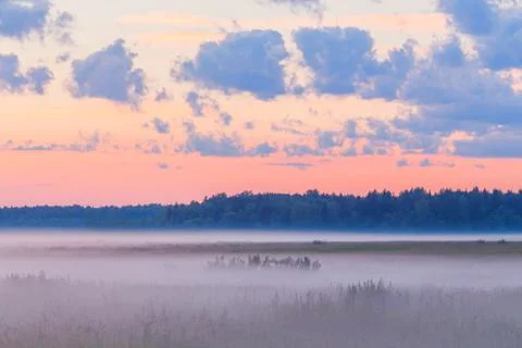 Fog in the fields landscape pink sky mist morning Stock Photos