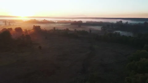 Fog in the fields in the rays of the rising sun. Stock Footage 142068201