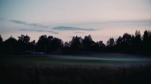 Fog fills a clearing on the edge of the forest Stock Footage 308870834