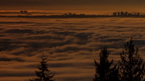 Fog floating above the city Stock Footage 35111879