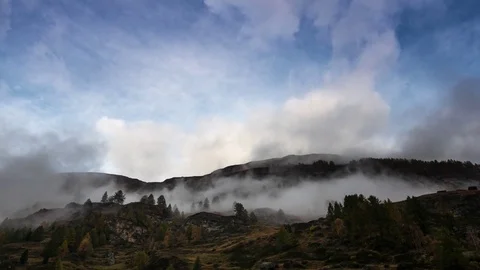 Fog floating across the forest trees over a hilly terrain Stock Footage 77803171