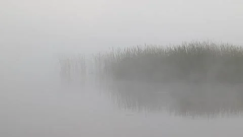 Fog floats over the surface of the river on a gray morning Stock Footage 300882555