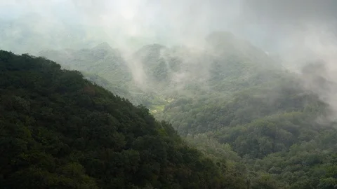 Fog flow among mountains Vidéo 93492320