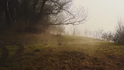 Fog flowing in the air next to a river in the morning, with stron backlight Video stock 233291345