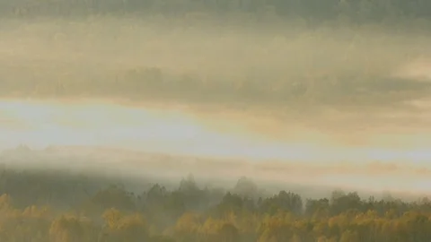 Fog flowing in the forest time lapse Stock Footage 78589316