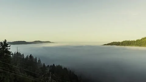 Fog Flowing Over Jackson State Forest Clear Sky Timelapse 8k Stock Footage 201030752