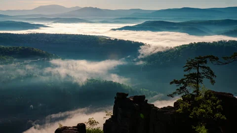 Fog flowing over river, forest in mountains in morning Video stock 201290319