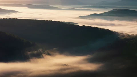 Fog flowing over river, forest in mountains in morning Stock-Footage 201290334