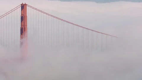 Fog Flowing Through Golden Gate Bridge in San Francisco Stock Footage 316644685