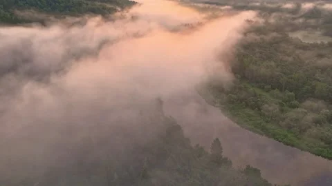 Fog flows through the Gauja valley Stock Footage 322760126
