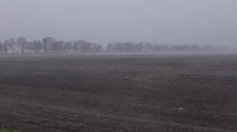 Fog flying over the fields early morning Stock Footage 63867192