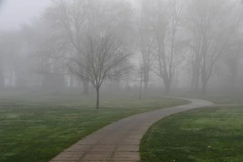 Fog, Foot Path and Trees Stock Photos