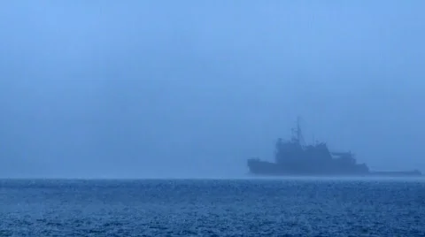 Fog Vídeo Stock 706562