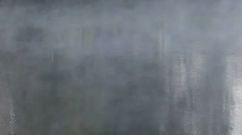 Fog Vídeo Stock 8852597